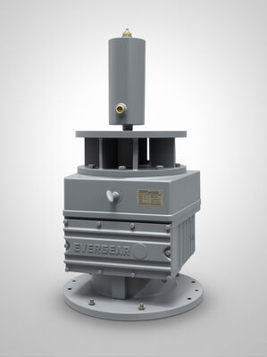 Mua Giảm tốc bánh răng xoắn ốc dòng ERF tiết kiệm chi phí với dải công suất 0.12KW-200KW và tỷ số truyền 3.4–285.61 cho ứng dụng lắp bích online manufacture