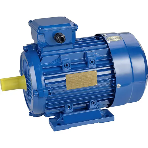 YE2 Series Three-Phase Asynchronous Motors